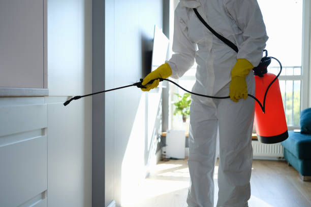 Best Local Mold Removal Service  in Fall Creek, WI