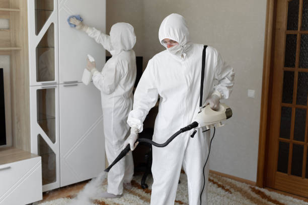 Best Office Mold Removal Services  in Fall Creek, WI