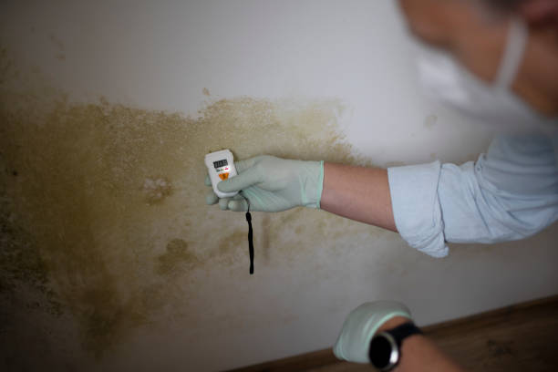 Crawl Space Mold Removal in Fall Creek, WI
