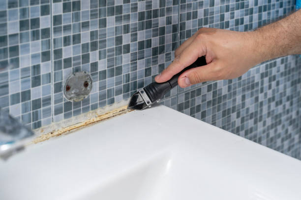 Best Certified Mold Removal  in Fall Creek, WI