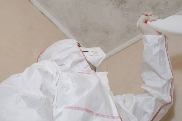 Best Water Damage Restoration  in Fall Creek, WI